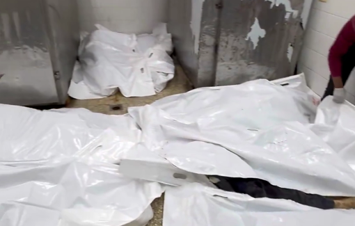Thumbnail preview image for the video titled: Morgue full of bodies of Al-Louh family massacred by night Israeli bombing