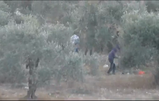 Thumbnail preview image for the video titled: Dozens of settlers nvaded the lands of Burin, assaulted farmers, set fire to vehicles,