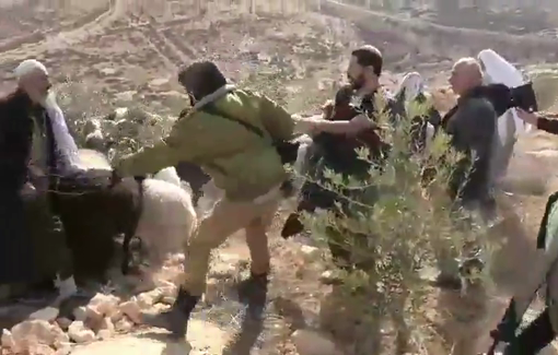 Thumbnail preview image for the video titled: Settler Shimon Atiya shoves the landowner and the activists in Fateh Sadra