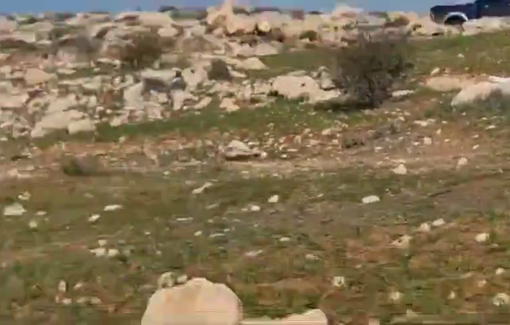 Thumbnail preview image for the video titled: Israeli settlers from the Ma’on Farm outpost terrorizing the Palestinian population of Khalat al-Daba