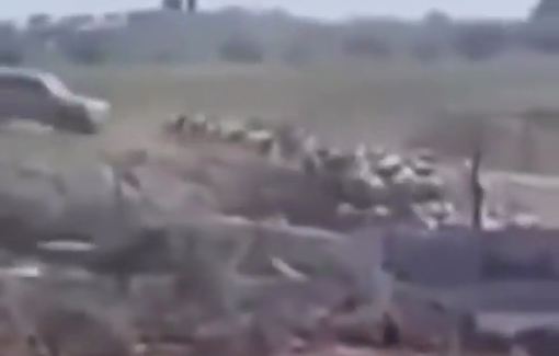 Thumbnail preview image for the video titled: The moment a settler ran over a herd of sheep in the village of Deir Dibwan