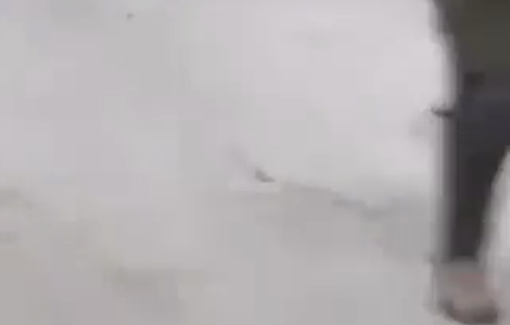 Thumbnail preview image for the video titled: Israeli soldiers supporting the pogrom by 300 settlers and threatening the Duma residents