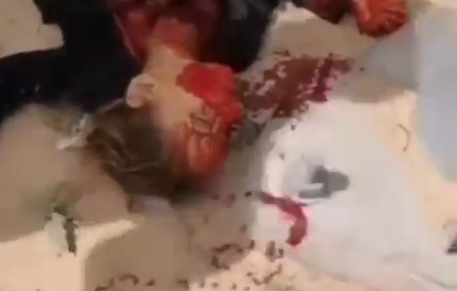 Thumbnail image of a video tagged with Charity kitchens