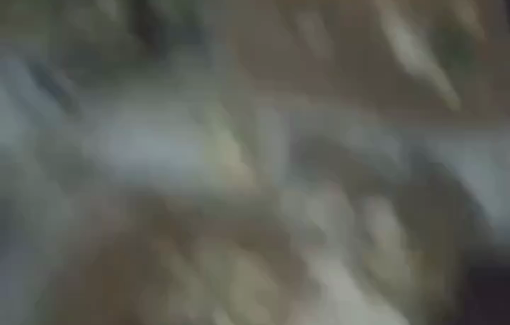 Thumbnail image of a video tagged with SkyStriker LM