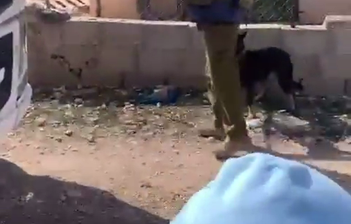 Thumbnail preview image for the video titled: A settler tried to intimidate a resident of Tuwani