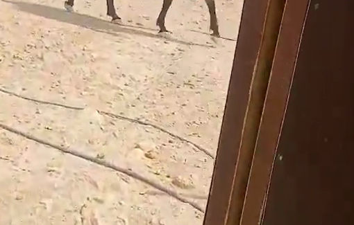 Thumbnail preview image for the video titled: A settler on horseback provoked the residents of Mu'arrajat, south of the Jordan Valley