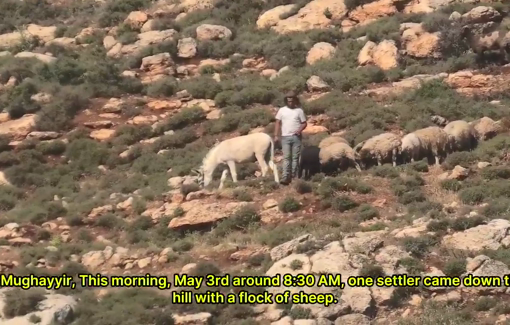 Thumbnail preview image for the video titled: Israeli settlers invaded a Palestinian property with a flock of sheep in Al-Mughayyir
