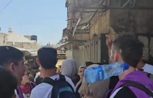 Thumbnail preview image for the video titled: Jewish supremacist screaming "May Your Village Burn" in the Old City of the Occupied Jerusalem