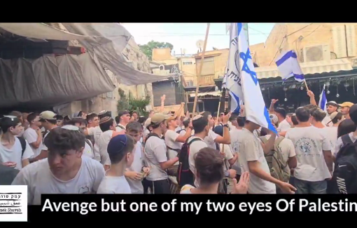 Thumbnail preview image for the video titled: During Jerusalem Day Flag March, the hate songs and violence in the heart of the Muslim Quarter felt even worse than previous years