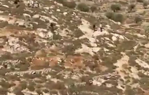 Thumbnail preview image for the video titled: Dozen of settlers attack the village of Burqa in eastern Ramallah