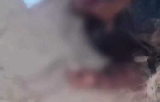 Thumbnail preview image for the video titled: Hundreds of aid seekers gunned down at a GHF site in Rafah