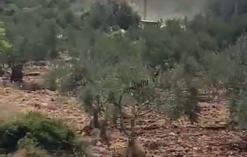 Thumbnail preview image for the video titled: Israeli settlers uprooted olive trees and burned agricultural lands in the town of Sinjil