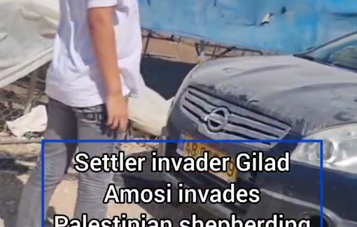 Thumbnail preview image for the video titled: Gilad Amosi from the illegal oustpost "Tene Yarok Farm" is once again invading the Farsiyah Nab'a al-Ghazal community