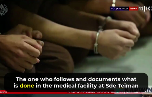 Thumbnail preview image for the video titled: Denialism after the rape of Palestinian prisonners: Testimony of Prof. Yechiel Barilan