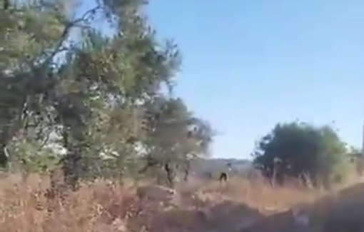 Thumbnail preview image for the video titled: Masked Israeli settlers throwing stones on Palestinian homes and civilians near Beita