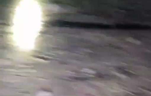 Thumbnail preview image for the video titled: Israeli settlers destroyed grape crops belonging to Palestinian residents of Susiya