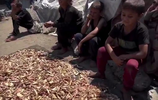 Thumbnail preview image for the video titled: Starved children collect potato peels from charity kitchens to eat them