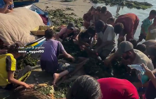 Thumbnail preview image for the video titled: Starved children look through algae for scraps of food