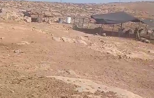 Thumbnail preview image for the video titled: Settlers conducting 'tours' inside the residential compounds of Palestinian shepherd families