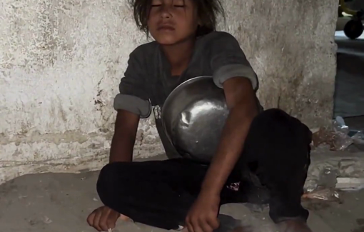 Thumbnail preview image for the video titled: Exhausted and starved Mira out looking for food as her father is injured