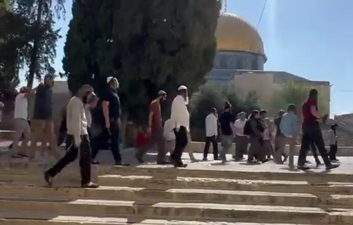 Thumbnail preview image for the video titled: Jews desecrate Al-Aqsa Mosque, sing and dance