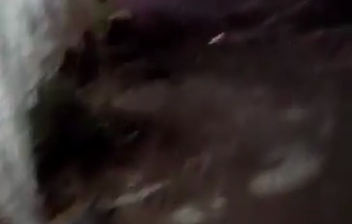 Thumbnail preview image for the video titled: Shimon Attiya’s settler gang taunts the grieving family of Awdah Hathaleen, shouting 'He’s dead! He’s dead!' as they pass by