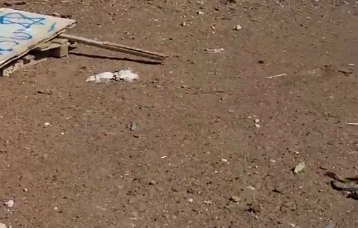 Thumbnail preview image for the video titled: Khirbet Samra destroyed by settlers who left their signature the Star of David and the words “the people of Israel live”