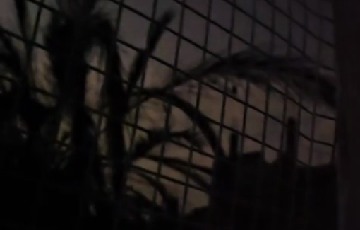 Thumbnail preview image for the video titled: Anas Al-Sharif's last video minutes before he was killed