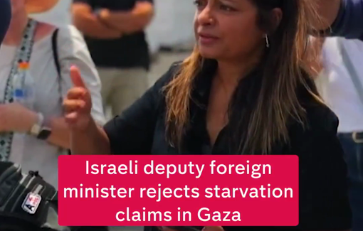 Thumbnail preview image for the video titled: Israel's deputy foreign minister Sharren Haskel saw "very well-fed people" in Gaza