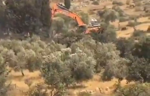 Thumbnail preview image for the video titled: Amid a large-scale military attack, Israeli Hyundai excavator uproot trees of the lands of Al-Mughayyir village