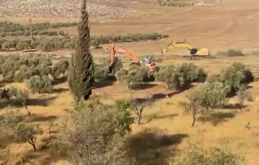 Thumbnail preview image for the video titled: Israeli bulldozers are destroying olive trees in Al-Mughayir village, east of Ramallah