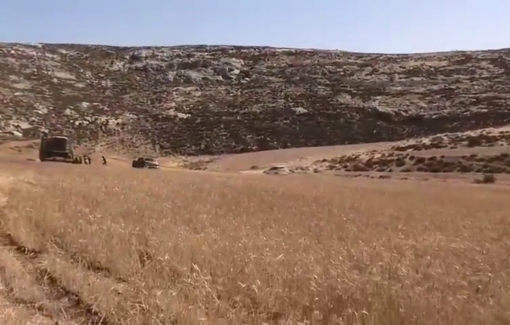 Thumbnail preview image for the video titled: Ynon Levi, armed with a pistol, and Eili Federman, harassed the residents of Wadi Tiran while they were harvesting their hay