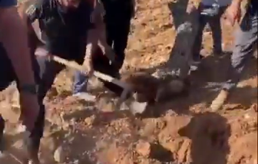 Thumbnail preview image for the video titled: Residents of the village of Al-Mughayyir replanted the olive trees that had been uprooted by the Israeli army