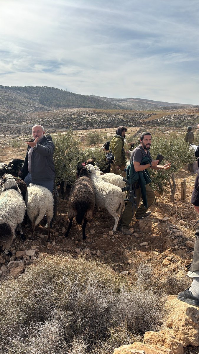 Thumbnail preview image for the video titled: Settler Shimon Atiya grazing on the land of a Palestinian resident of Fateh Sadra