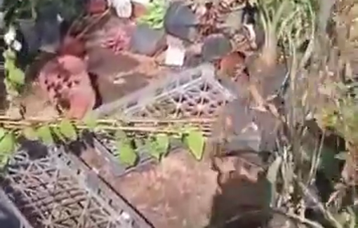 Thumbnail preview image for the video titled: Settlers raid pine nursery in Yatma near Nablus, destroying trees