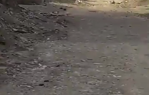 Thumbnail preview image for the video titled: Footage shows widespread destruction inside Jenin RC after dozens of Palestinians broke through the siege to inspect their homes