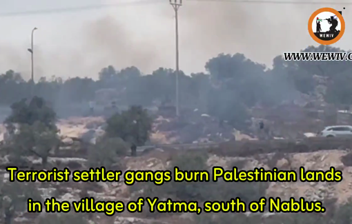 Thumbnail preview image for the video titled: Settlers gangs burn Palestinian land in Yatma south of Nablus