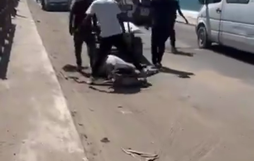 Thumbnail preview image for the video titled: Donkey collapses during displacement