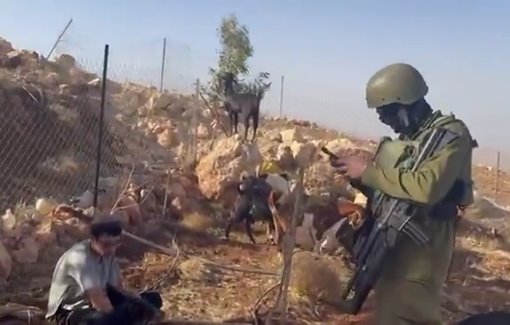 Thumbnail preview image for the video titled: Settler from the Mal'chei HaShalom (“Peace Angels”) settlement infiltrated the village of Duma