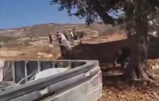 Thumbnail preview image for the video titled: Residents of Deir Jarir attempting to defend their livestock and property against dozens of armed settlers