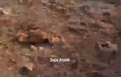 Thumbnail preview image for the video titled: Journalist Wahaj Bani Moufleh injured by Israeli fire while covering an attack by Israeli settler