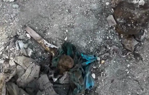 Thumbnail preview image for the video titled: Decomposed remains of killed Palestinians found in after IDF withdrawal