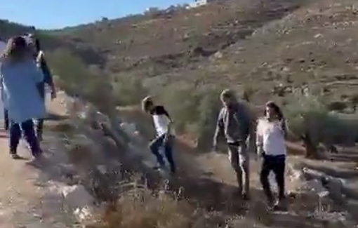 Thumbnail preview image for the video titled: Israeli settlers, backed by army, attack olive harvesters and expel them in Wadi al-Hajj Isa