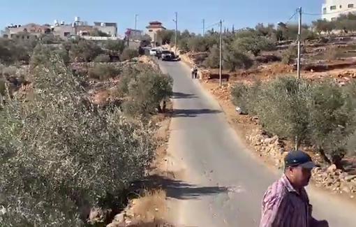 Thumbnail preview image for the video titled: Israeli settlers attack Palestinians harvesting olives in the town of Burqa