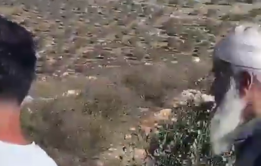 Thumbnail preview image for the video titled: Israeli settlers attacked Palestinian landowners as they harvested olives in Aqraba