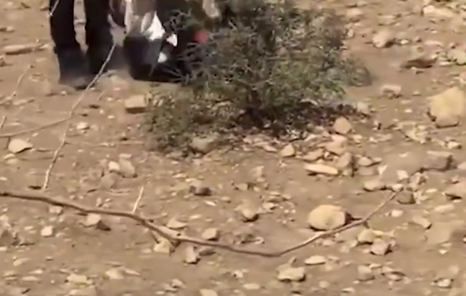 Thumbnail preview image for the video titled: Police beat and arrest activist Dean Tulkoff for blocking settler attack on Palestinian pipelines