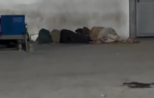 Thumbnail preview image for the video titled: Displaced Palestinians sleep out in the courtyard of a hospital