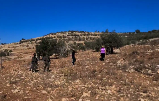 Thumbnail preview image for the video titled: Activists and Palestinian famers disrupted by Israeli settlers and soldiers during the olive harvest