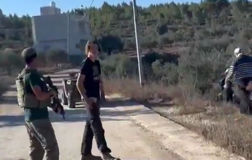 Thumbnail preview image for the video titled: Settlers attacked solidarity activists and olive pickers in Hawara