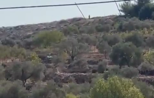 Thumbnail preview image for the video titled: An armed Israeli settler fired at Palestinian farmers near the village of Qusra in attempt to prevent olive harvest